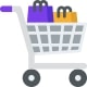 Shopify features